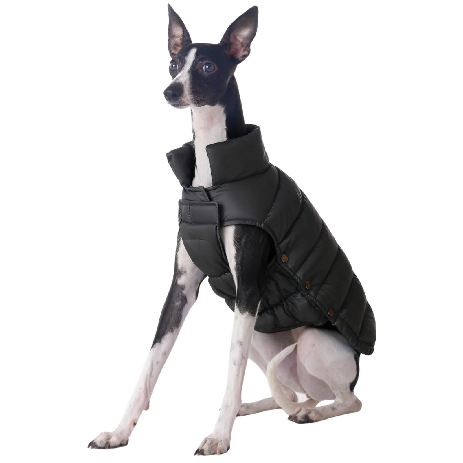 Next-Generation SPACE LION Dog Puffer Jacket Lightweight Windproof Down Coat for Large Dogs Onyx Black 2XL Solid