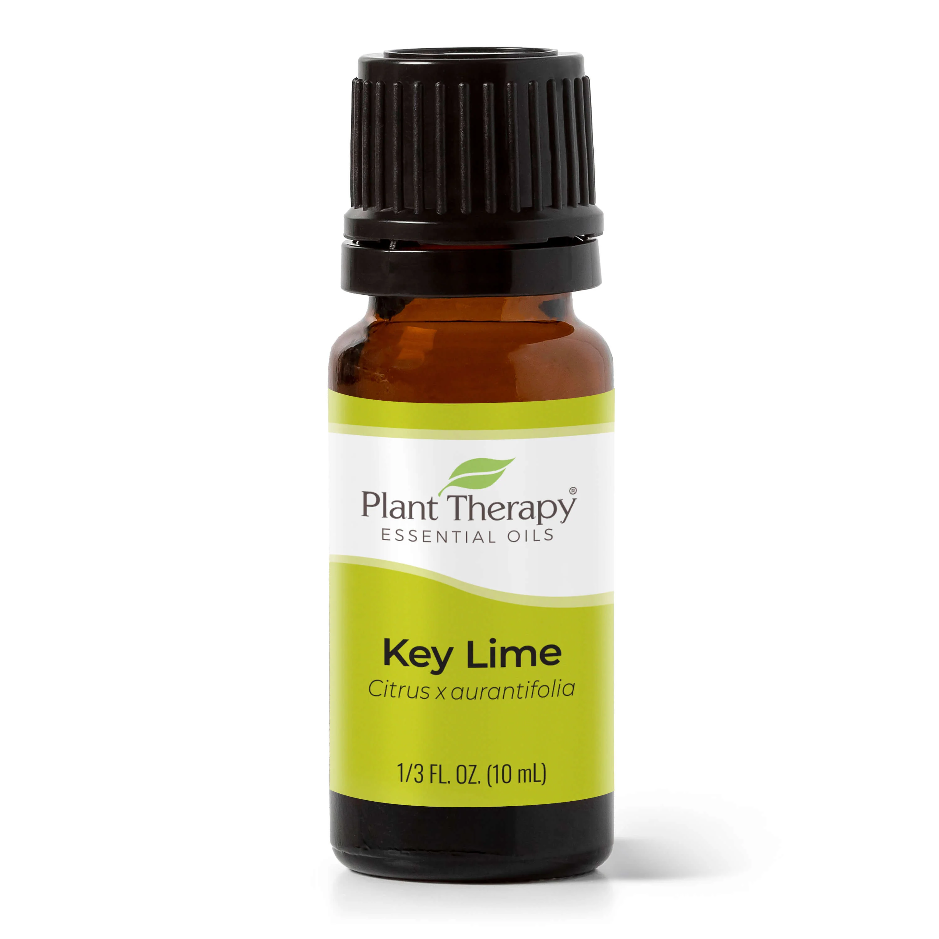 Top-Quality Key Lime Essential Oil Practical