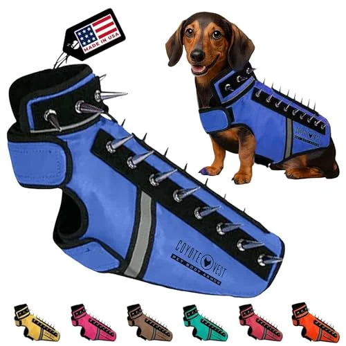 World-Class CoyoteVest SpikeVest for Small Dogs XS Royal Blue Reflective Spike Harness Breathable