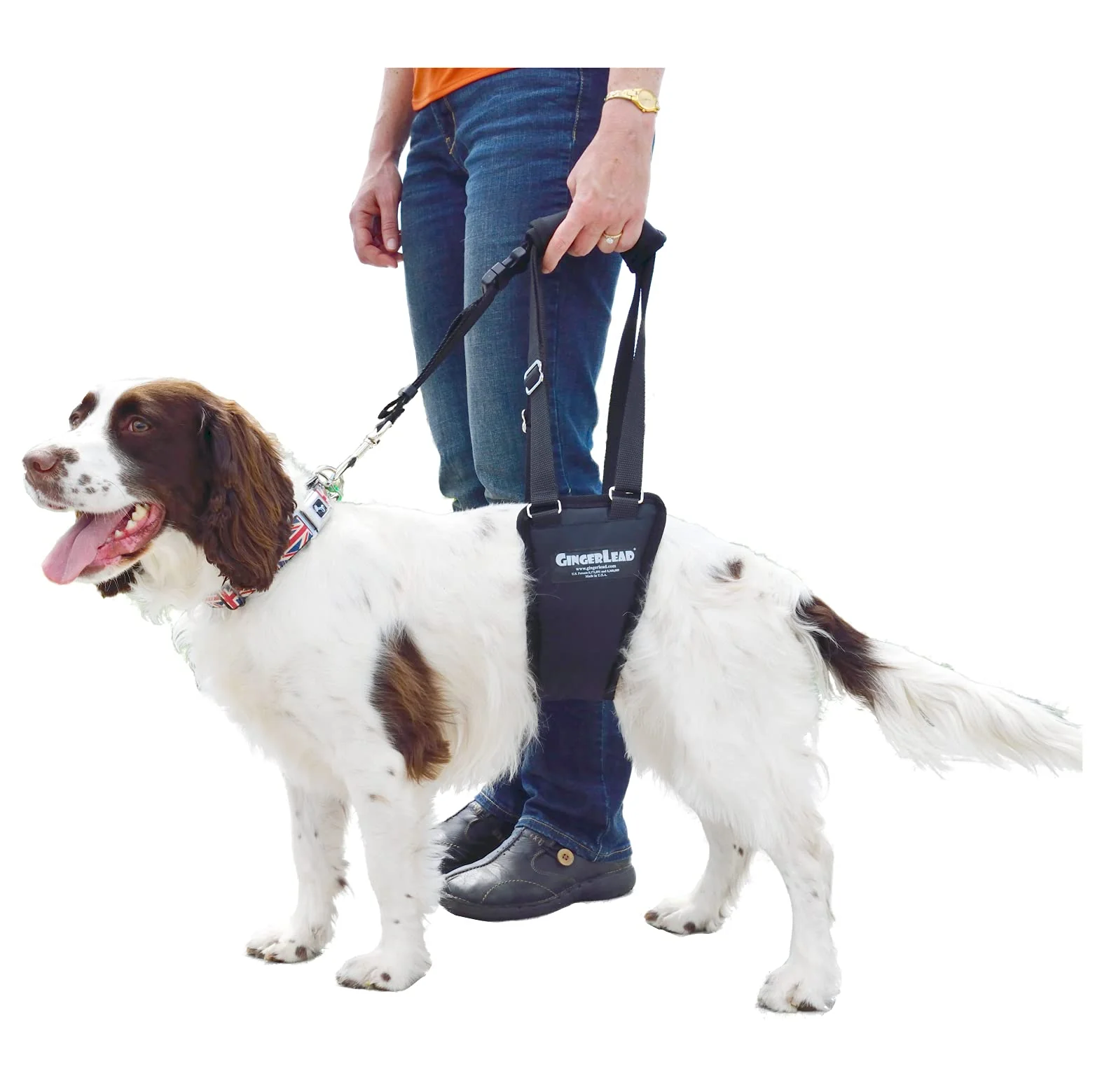 Flexible GINGERLEAD Dog Sling Hip Harness – Small Medium USA-Made Long-Lasting
