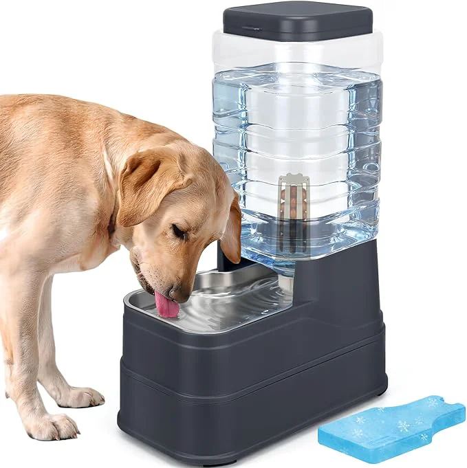 Advanced 2.2 Gallon Pet Automatic Dog Water Dispenser Cat Gravity Waterer Feeder with Stainless Steel Bowl Large Capacity Puppy Feeding Raised Bowls with Filter Ice Pack for Large PetsAbout ThisOverview Casual
