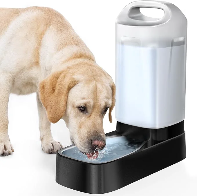 Trendy Automatic Dog Water Bowl Dispenser - 2.4 Gallon Stainless Steel Gravity Pet Water Feeder with Ergonomic Handle Design Anti Splash Drinking Bowl Without Filter Easy to Clean Multi Pet UseAbout ThisOverview Eco-Friendly