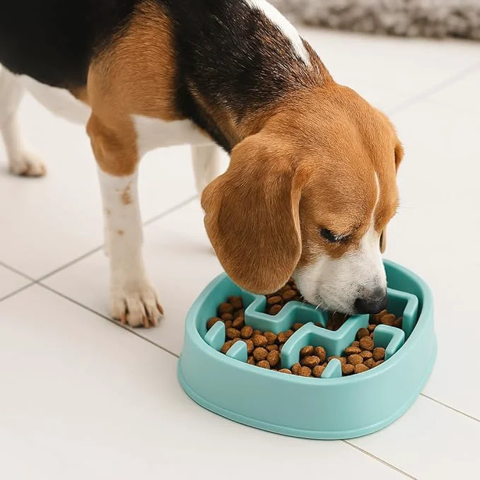 Trusted Slow Feeder Bowl Puzzle Maze for Fast Eaters Small to Medium Dogs Helps Prevent Bloat Aid Digestion Holds 2 Cups Wet or Dry Food Non-Slip Made Without BPA BlueAbout ThisOverview Durable
