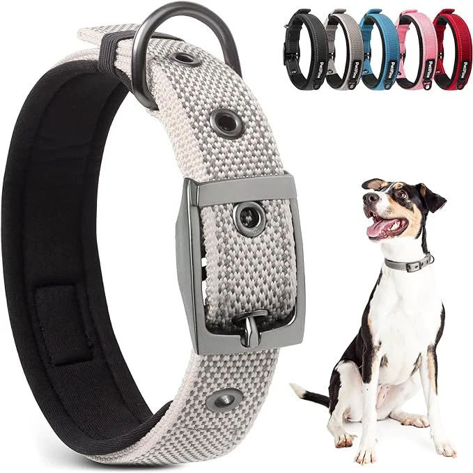 Consistent PetiFine Dog Collars for Medium Dogs Neoprene Padded and Adjustable High-Grade