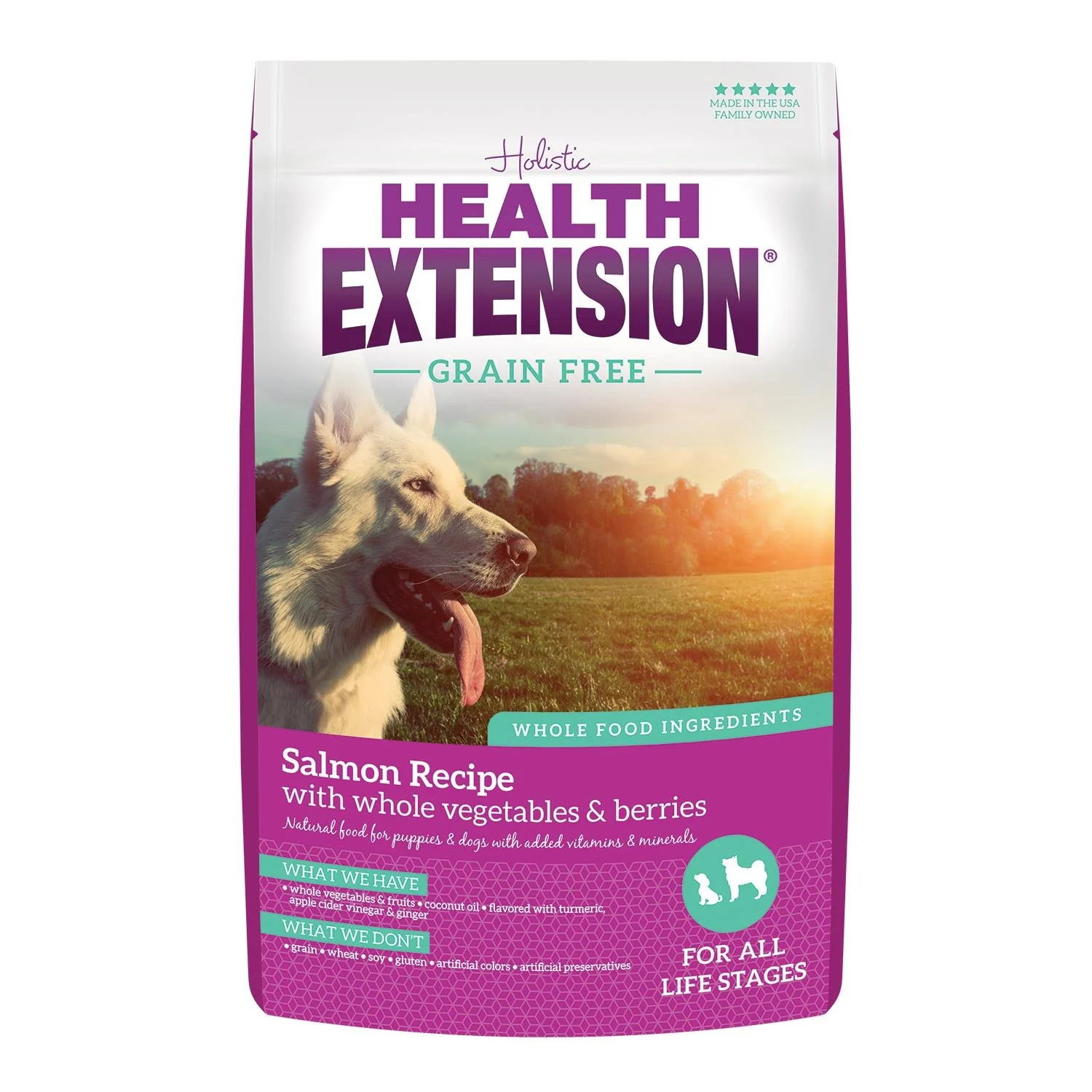 Reliable Health Extension Grain- Salmon Sweet Potato Recipe With Whole Vegetables berries Dry Dog Food 10-lb Original