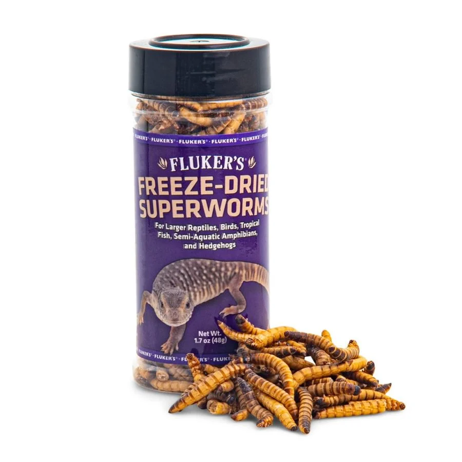 Fashionable Fluker's ze-Dried Superworms Reptile Food 1.7-oz Recyclable