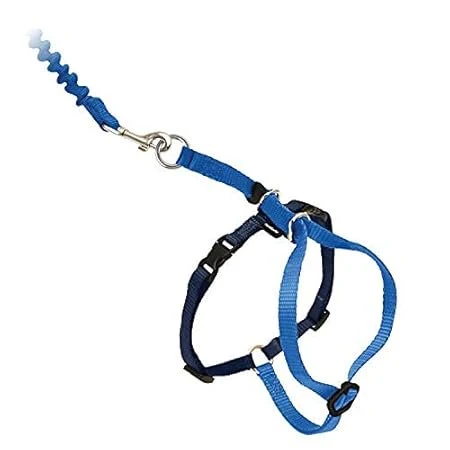 Relaxed PetSafe Premier Come With Me Kitty Harness Bungee Leash Combo Royal Blue Navy Small Prestigious