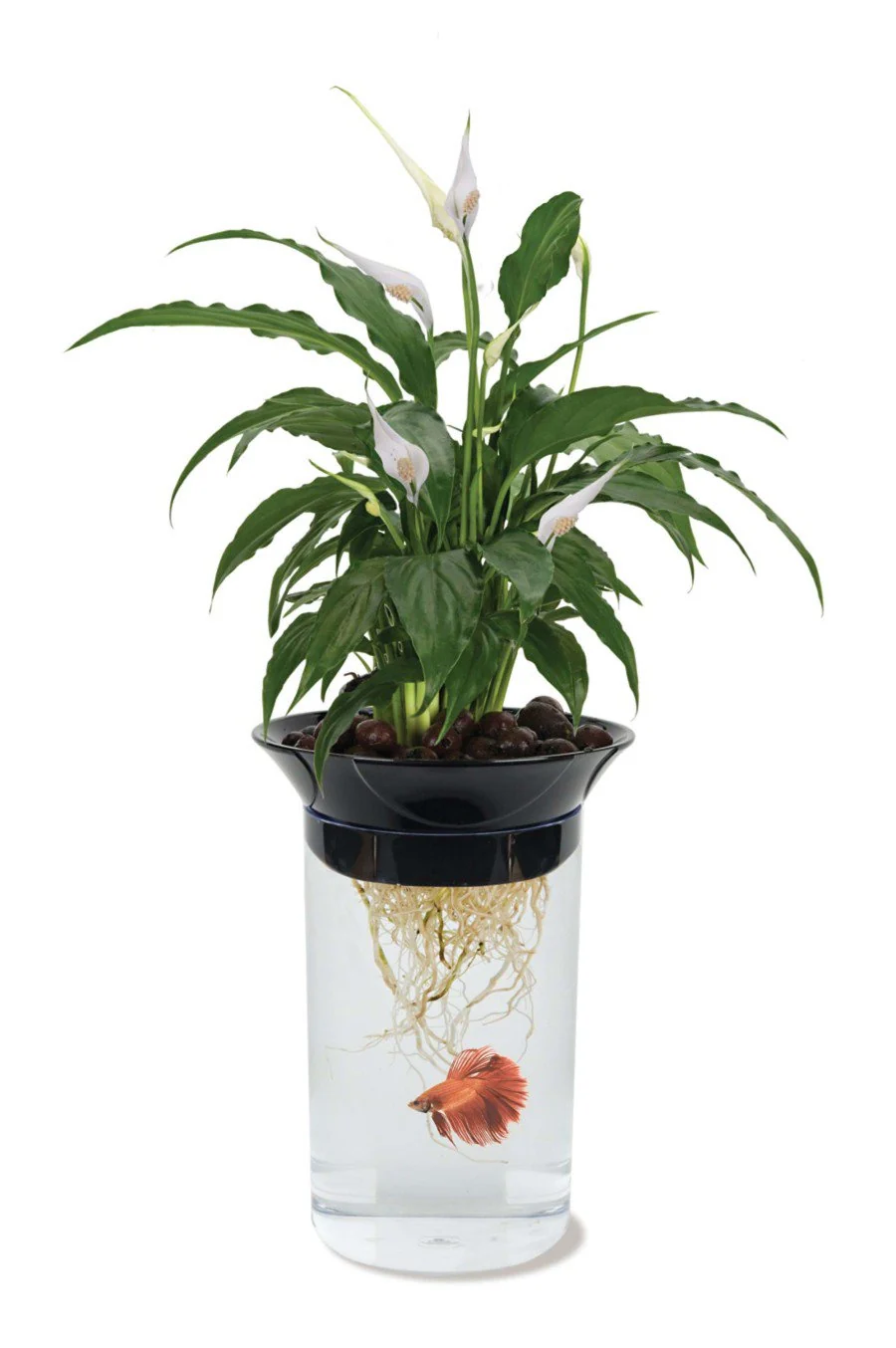 Specialty Penn-Plax Nature's Aqua-Ponics Planter Betta Bowl Aquarium Tank Kit for Plants Fish Original Design
