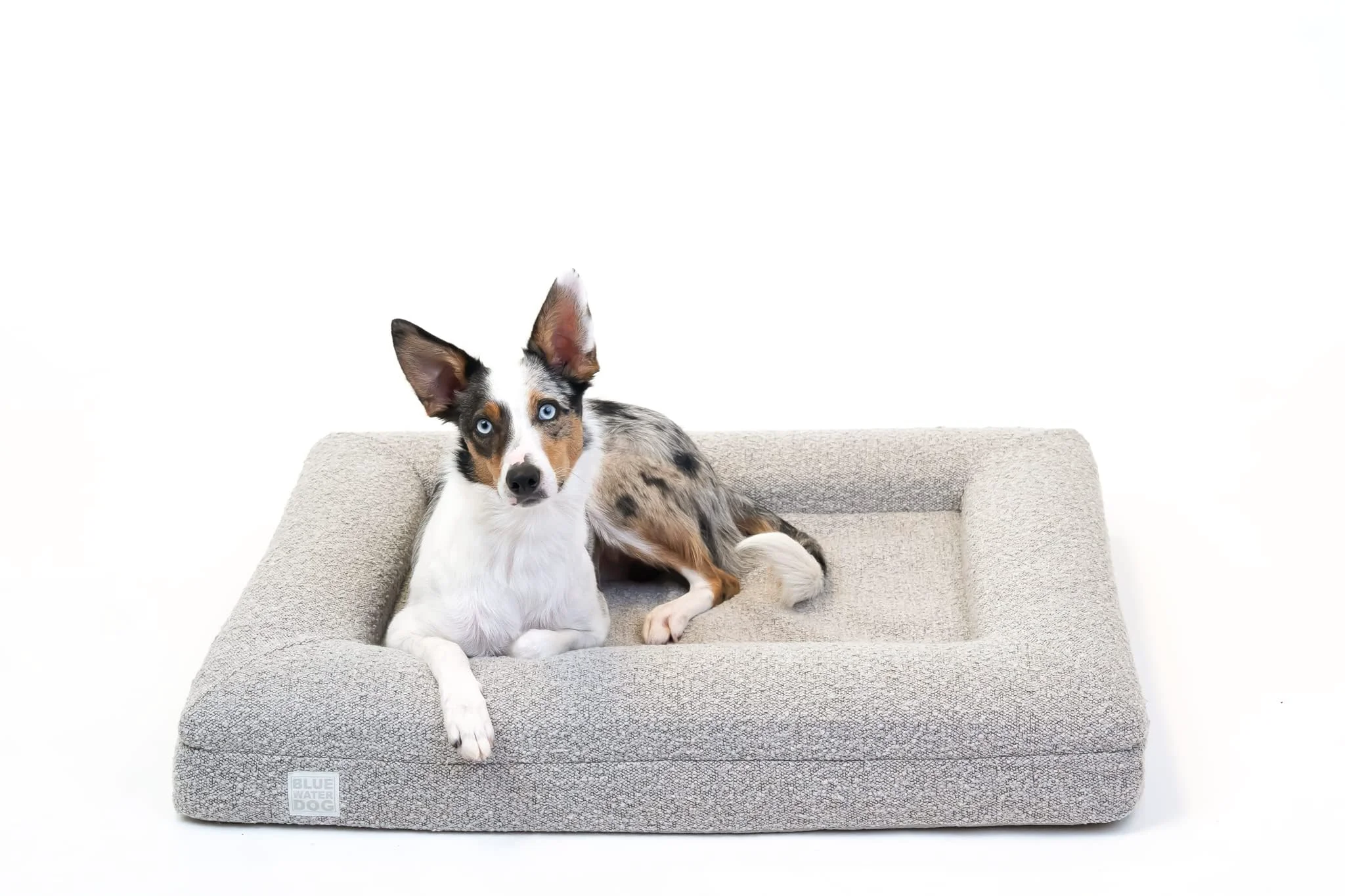 Minimalist Bluewater Dog Luxury Boucle Orthopedic Memory Foam Bed — Waterproof Liner Machine-Washable Cover Medium 37 L x 30 W Sand Casual