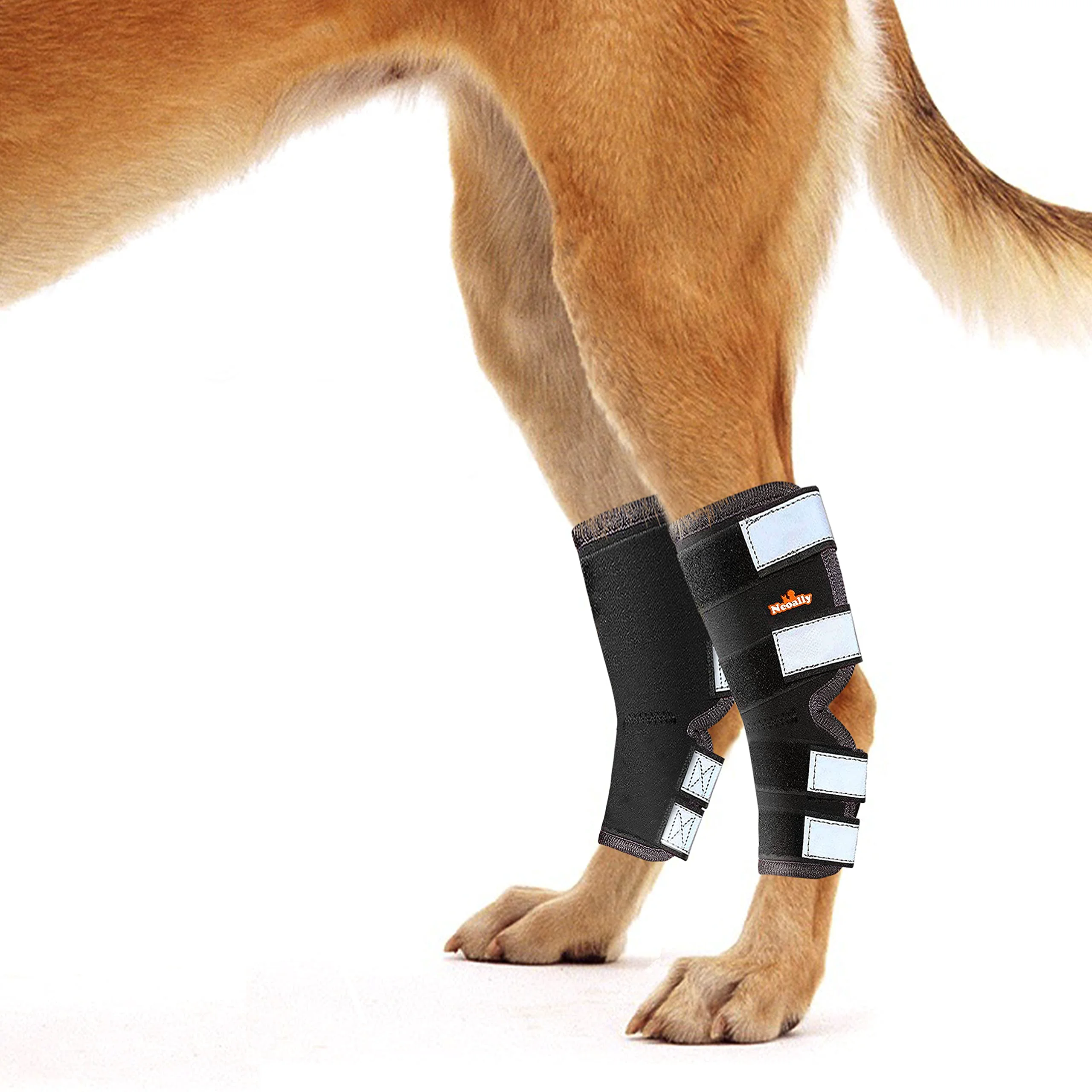Convenient NeoAlly® Rear Leg Hock Brace for Large Dogs – Pair Long Version Medium Flexible