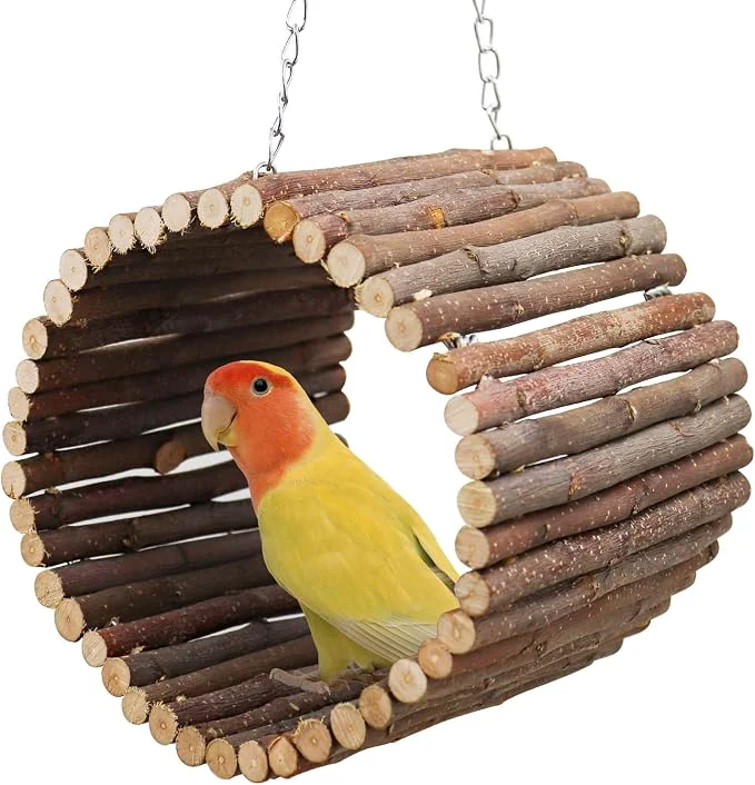 World-Class Bird Parrot Swing Toys Hanging Bird Tree Caves Natural Apple Wood Parrot High-Performance
