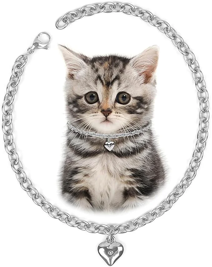 Specialty HOWWFALY Dog Collar and Cat Chain Necklace Stainless Steel Adjustable 18K User-Friendly