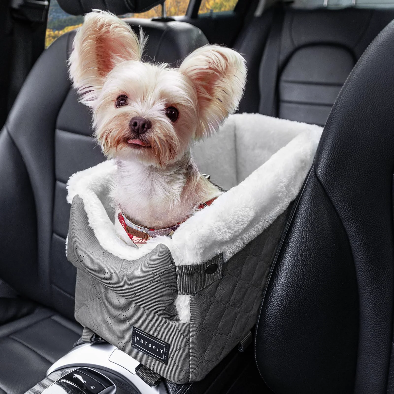 Superior Petsfit Center Console Dog Car Seat for Small Dogs – Safe Tethers and Washable Cushion Original