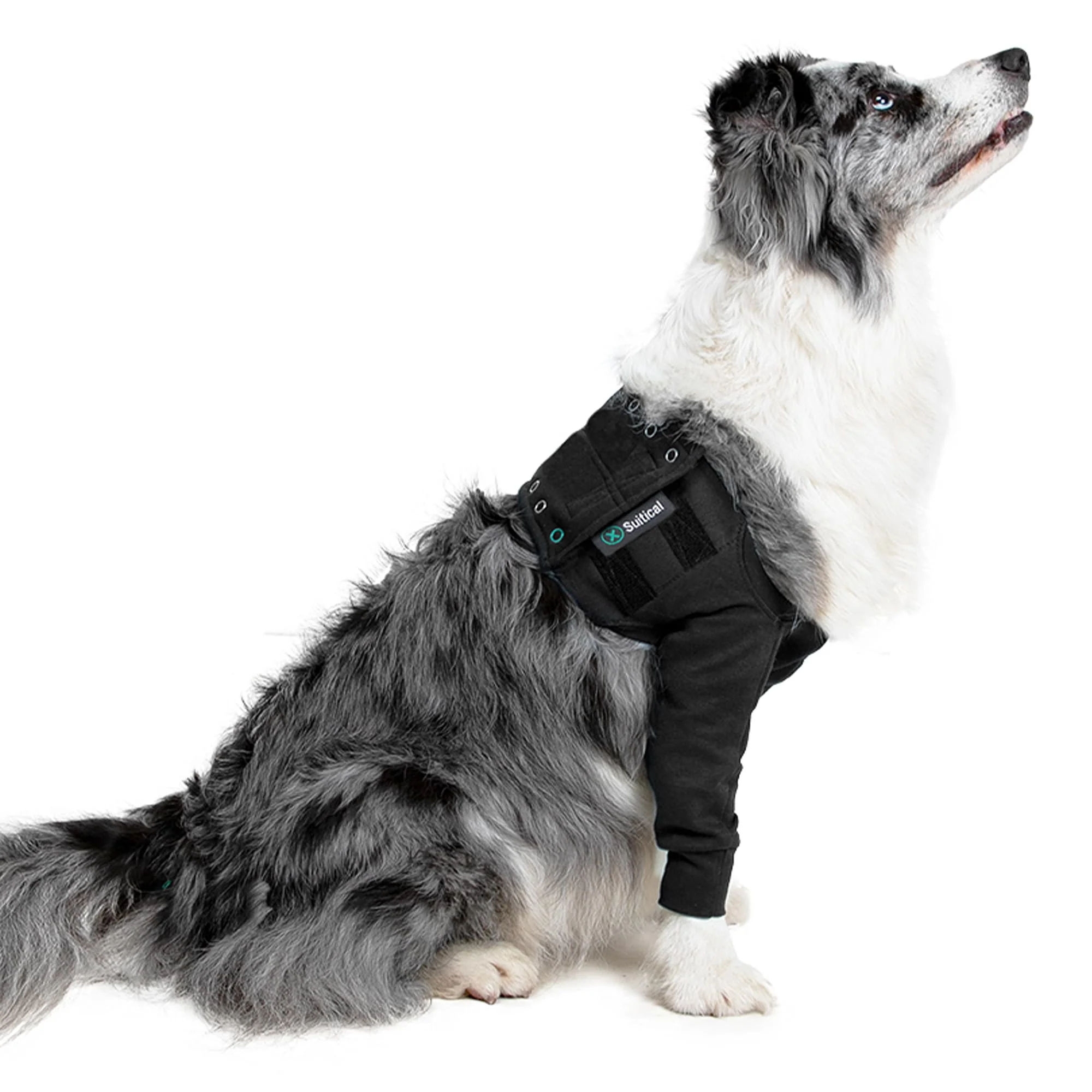 Enhanced Suitical Recovery Double Sleeve for Dogs – Front Leg Protection Adjustable M Black Chest 21.3–26.8 in Prestigious