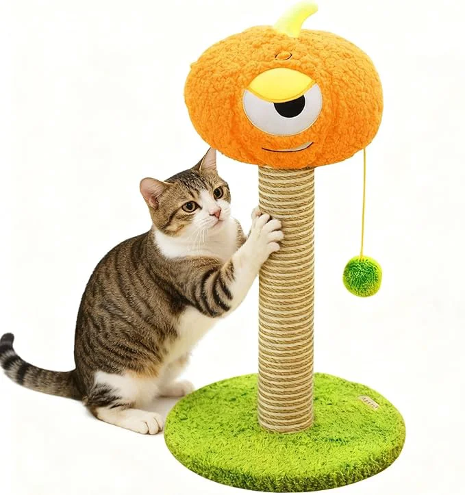 Easy-to-Use Pumpkin Cat Scratching Post for Kittens – Soft Velvet Base Play Ball Stable Durable Premium Jute Wrapping Non-Shedding Jute 30 30 60cmAbout ThisOverview Outstanding
