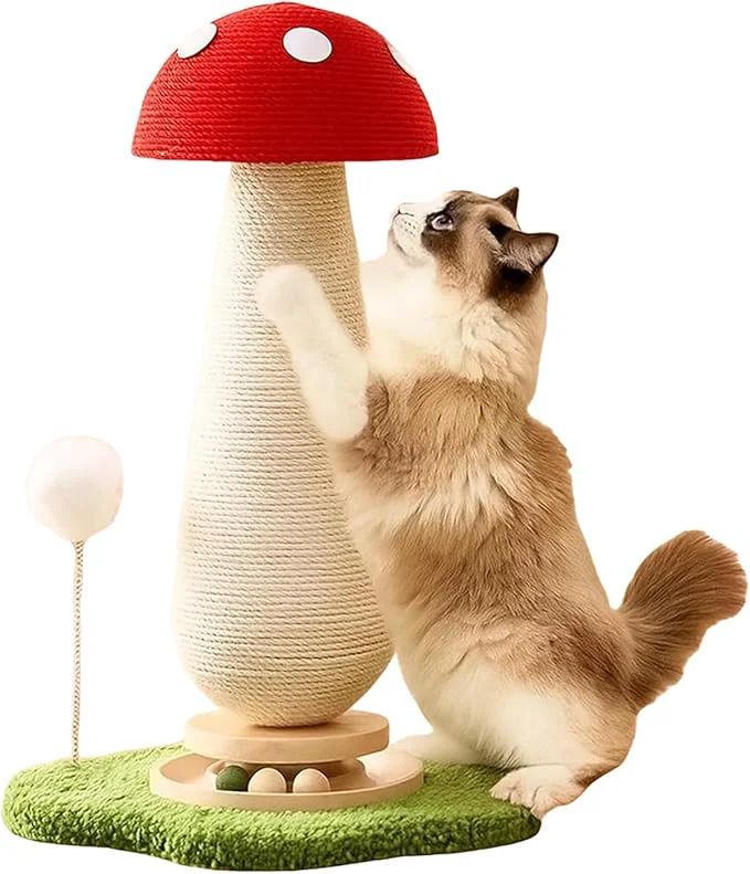 Crafted Mushroom Cat Scratching Post Cat Scratcher with Interactive Ball Track Spring Ball Toys Sisal Scratcher for Indoor Cats Kittens Stable Base Kitty Tree Tower - Red 25.2''About ThisOverview First-Class