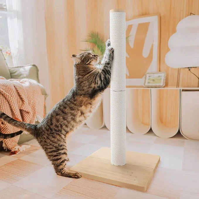Casual Necoichi 31.5 Tall Cat Scratching Post Kitten Scratcher Paper Rope Scratch Posts Trees with Hanging for Indoor Cats 31.5 inches for Adult Cats Large Oak About ThisOverview Next-Generation