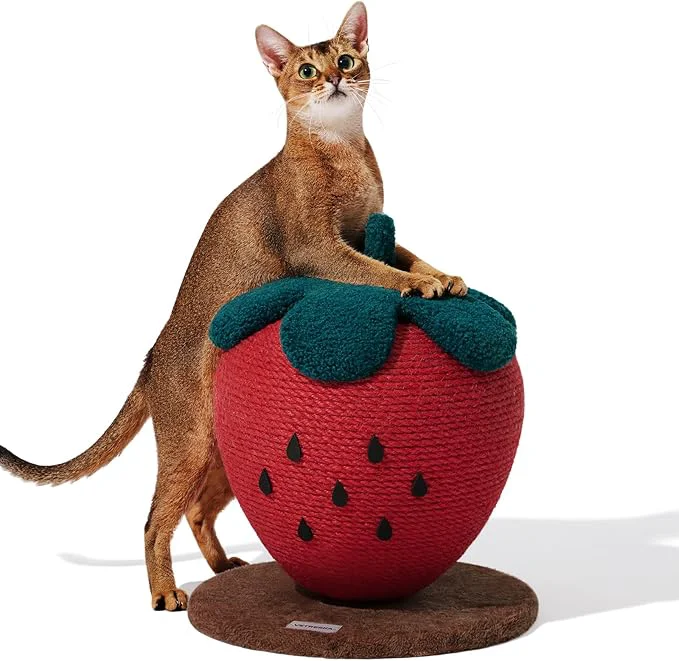 Excellent VETRESKA Strawberry Cat Scratching Post Cute Cat Scratcher with Jute Rope Vertical Cat Scratch Post for Indoor Cat and Kitten Ring Paper Strawberry Leaves Attract CatsAbout ThisOverview First-Class