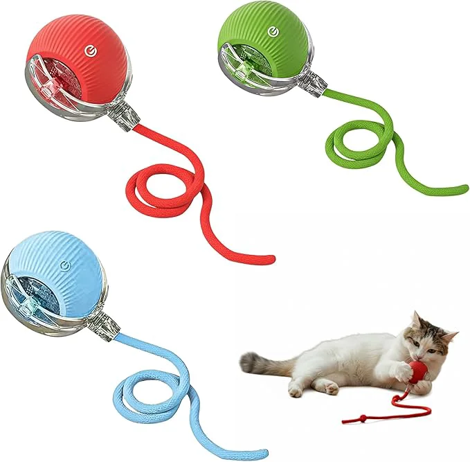 Crafted Interactive Cat Toy Ball Automatic Intercative Cat Toys for Indoor Cats The 3rd Generation Agile Moving Cat Ball with Elastic Mesh Tail Toys for Indoor Adult Cats - Pack of 3 Red Green Blue About This Official