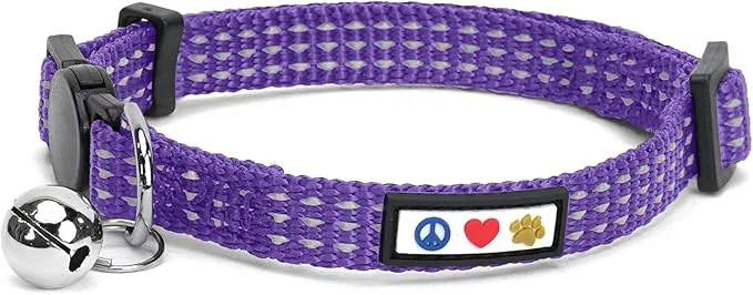 Smooth Pawtitas Reflective Purple Cat Collar Outstanding