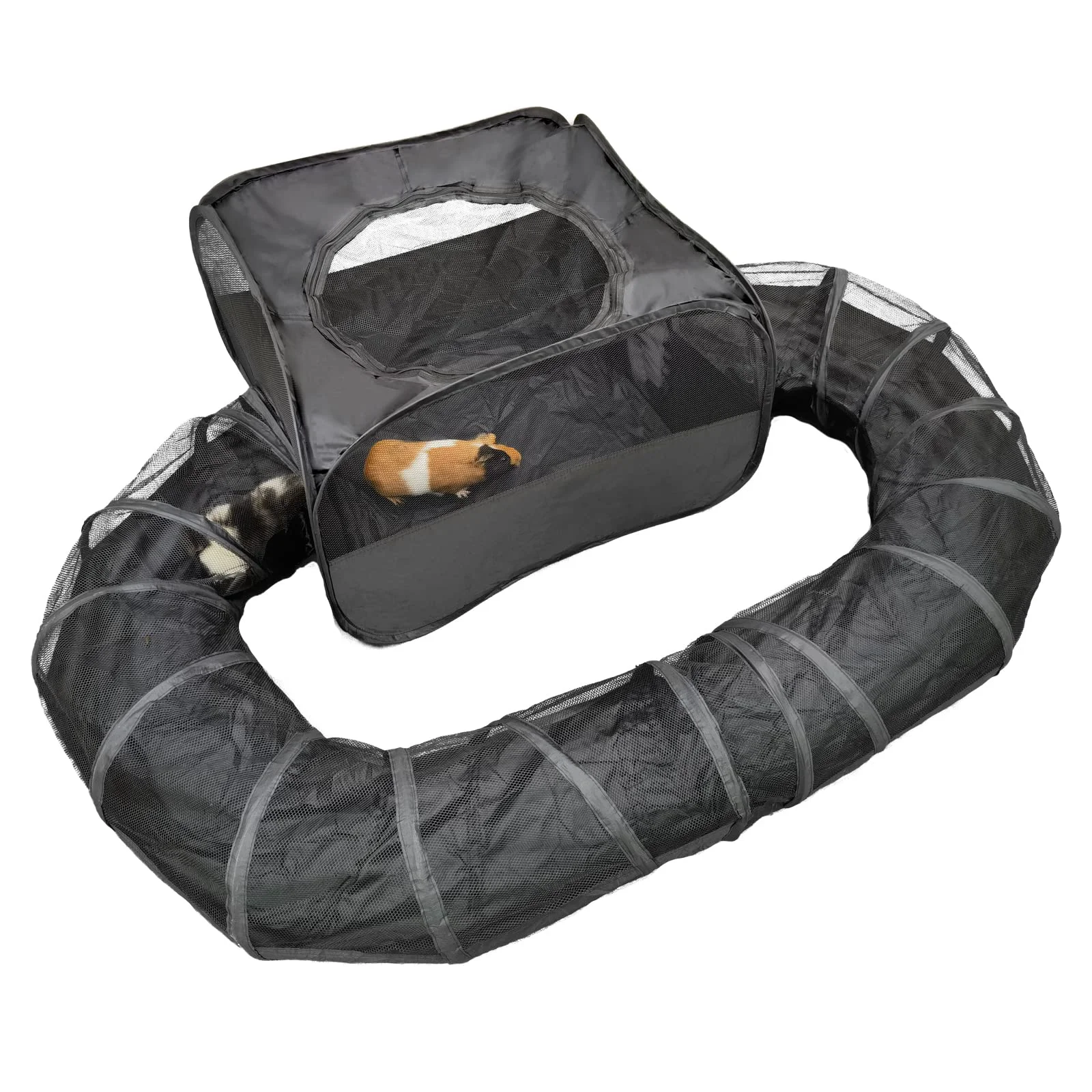 Versatile DOZZOPET Guinea Pigs Playpen with Surround Tunnel — Portable Small Pet Exercise Pen Functional
