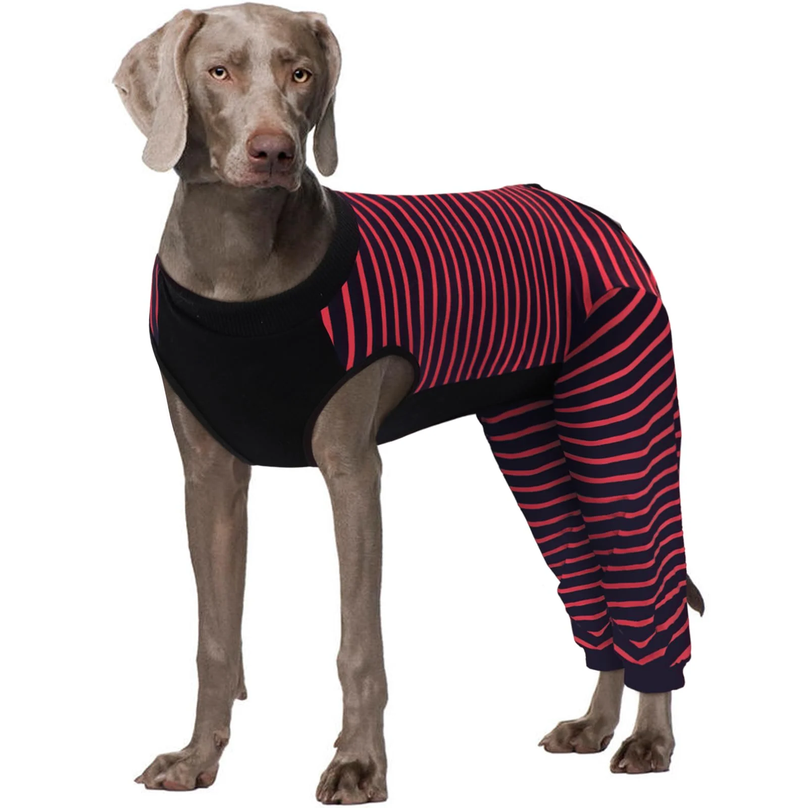 Stylish Kuoser Dog Recovery Suit – Red 4XL Anti-Licking Rear Leg Sleeve Abdominal Surgical Onesie Reusable