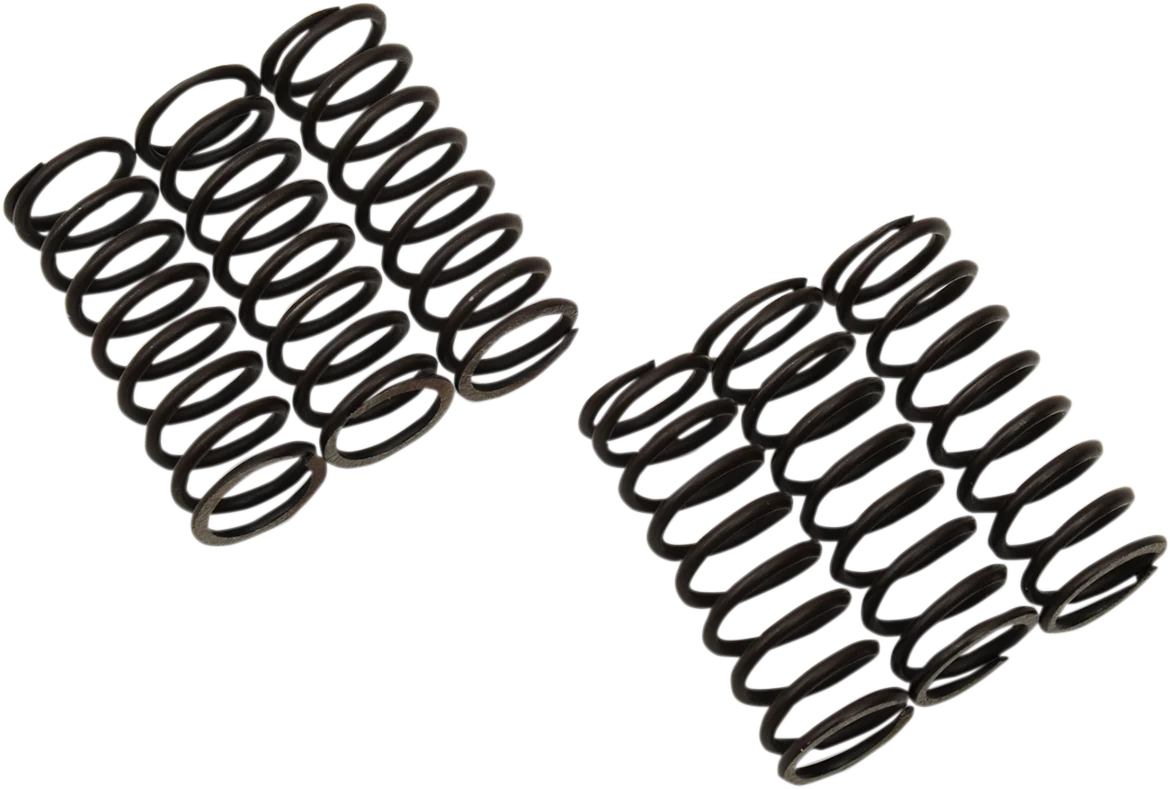 Detailed MOOSE RACING Clutch Springs MHDS118-6 Long-Lasting