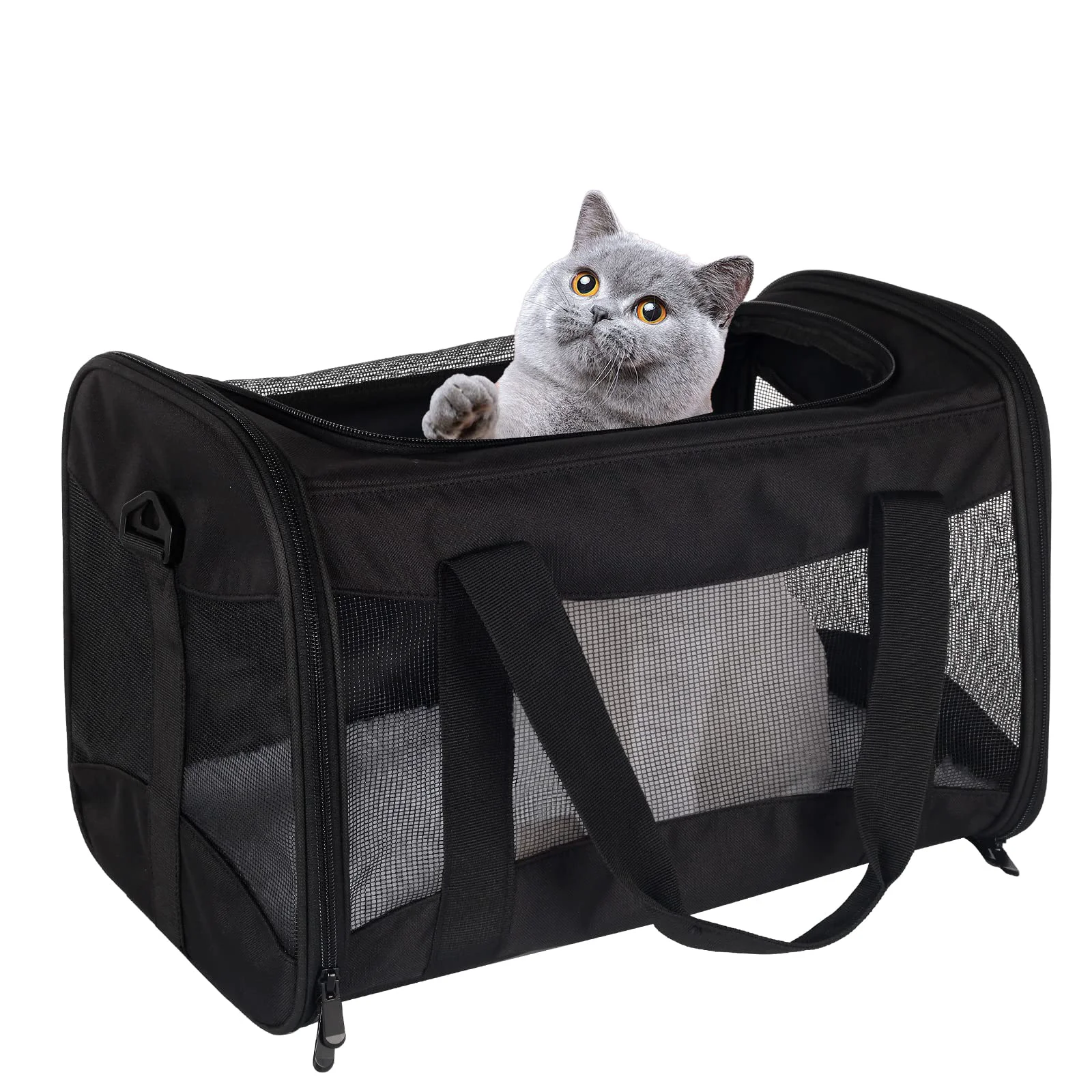 Contemporary Top tasta Cat Carrying Case – Airline- Portable Breathable Pet Carrier with Removable Fleece Pad X-Large Black Crafted
