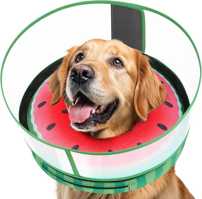 Eco-Friendly Inflatable Dog Cone with Anti-Licking Clear Shield Protective Dog Donut Collar Exceptional