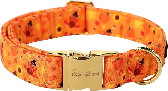 Detailed Unique style paws Dog Collar Metal Buckle Collar Specialty