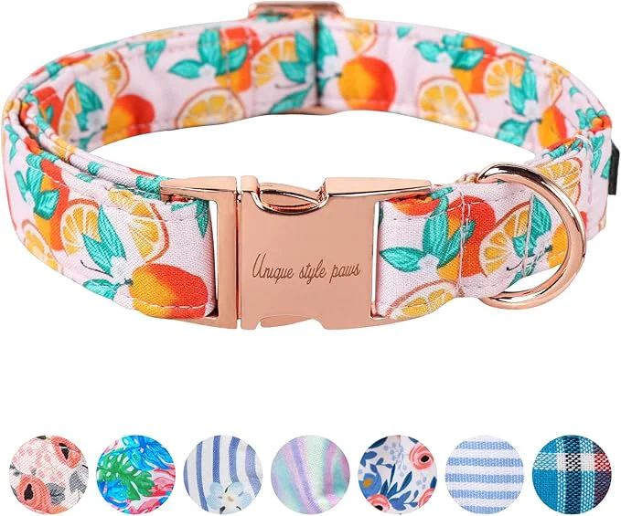 Top-Quality Unique style paws Dog Collar Metal Buckle Orange Collar Gift Durable Cute Collar High-End