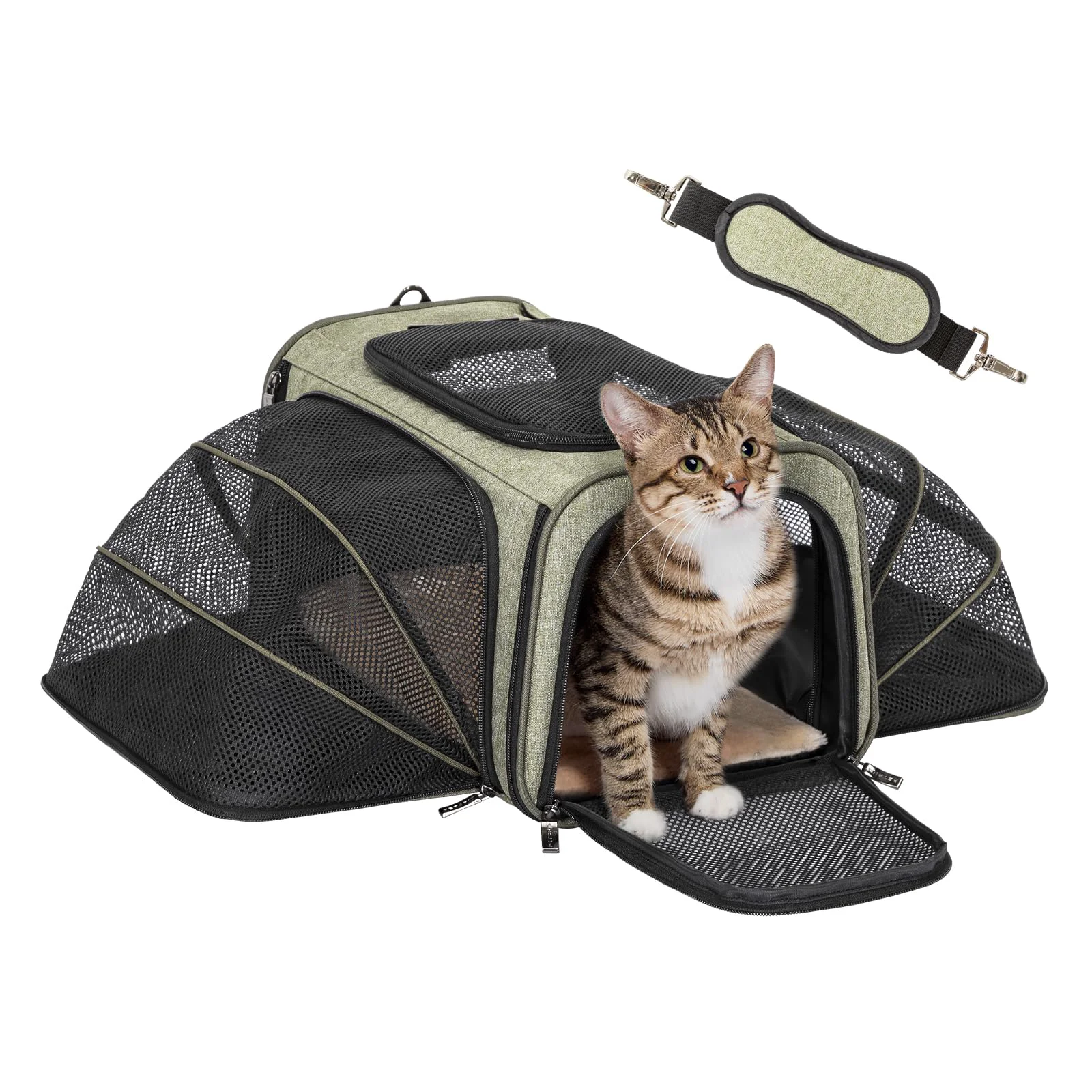 Specialty Petsfit Expandable Rabbit Carrier – 16 Inch Airline- with 2 Extensions Original