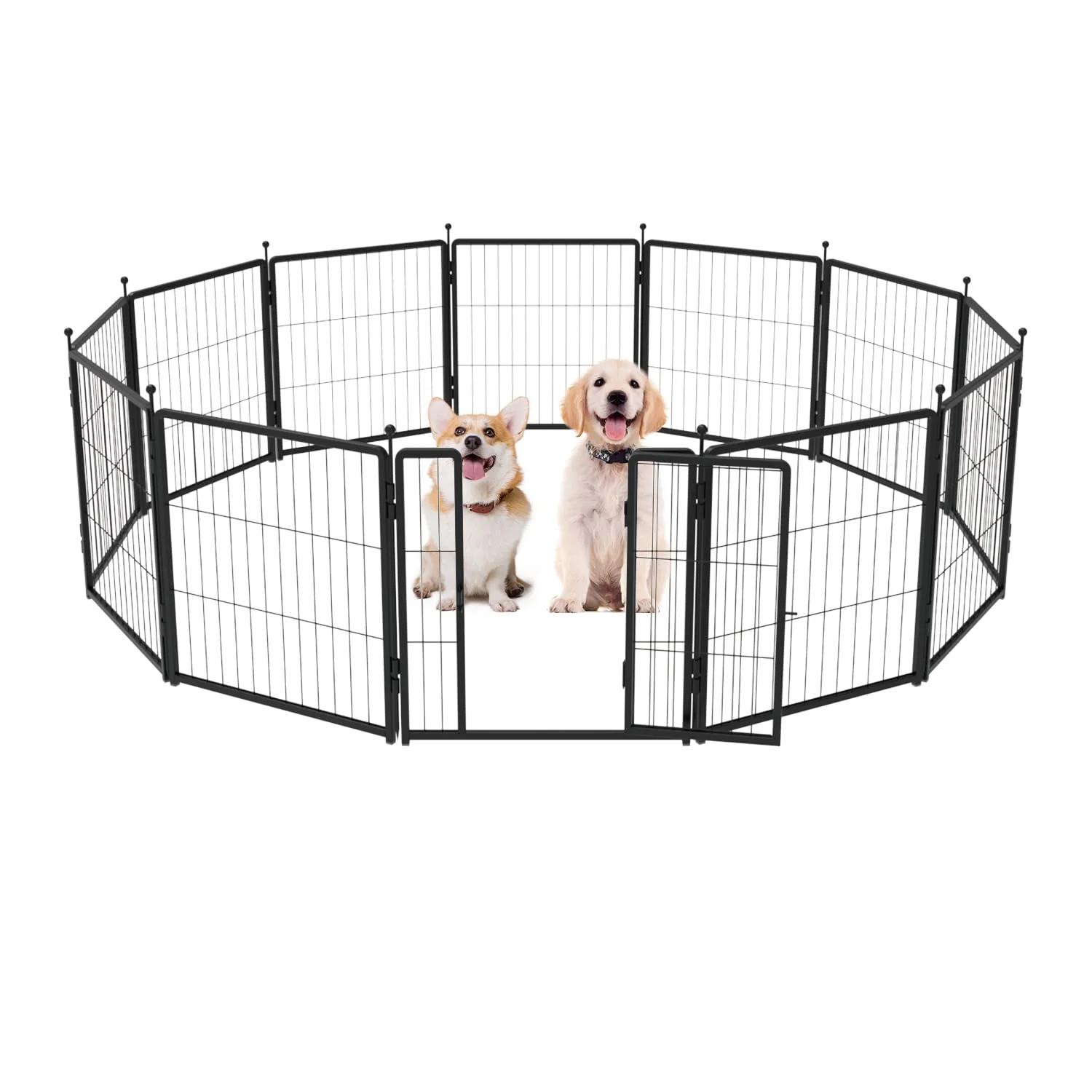 Selected PETREEK 24-Inch Dog Playpen – Heavy-Duty 12-Panel Metal Fence Excellent
