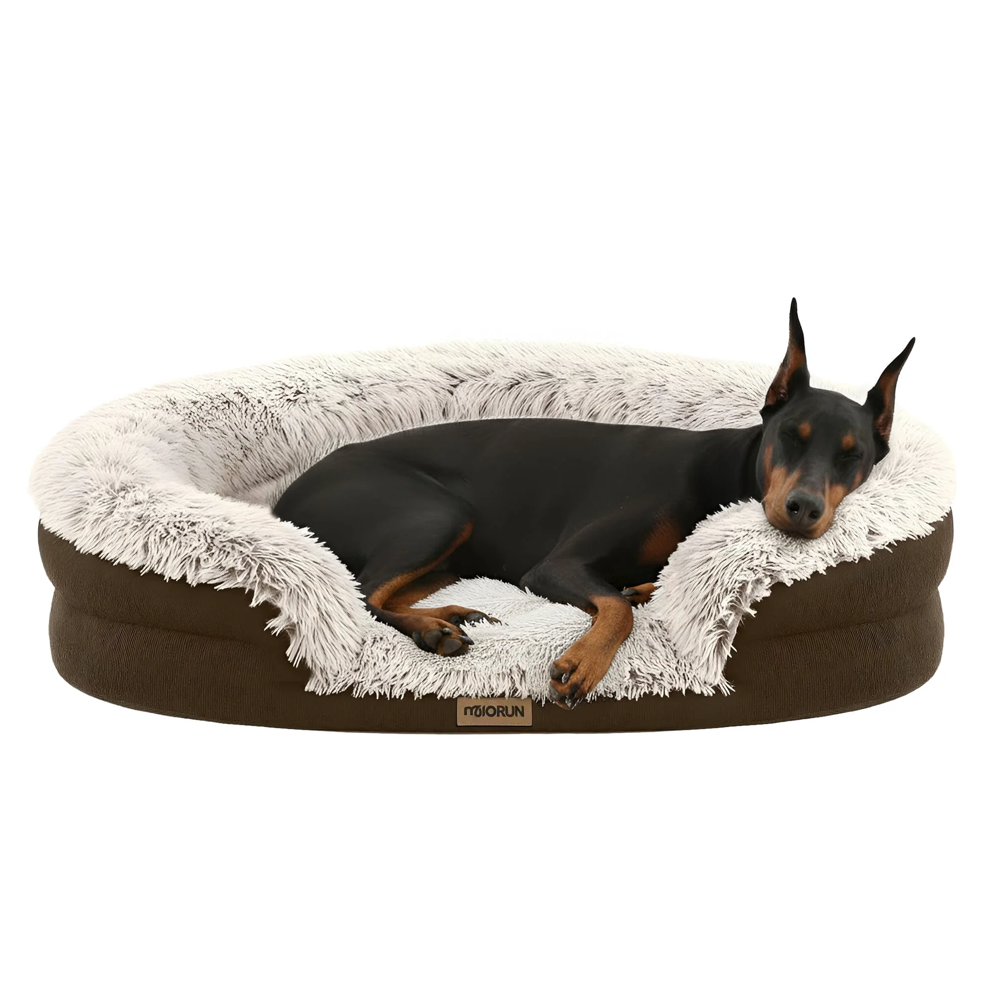 Dependable Miorun Fluffy Orthopedic Dog Bed for Extra Large Dogs – 48-Inch Oval Coffee Bouclé Clean