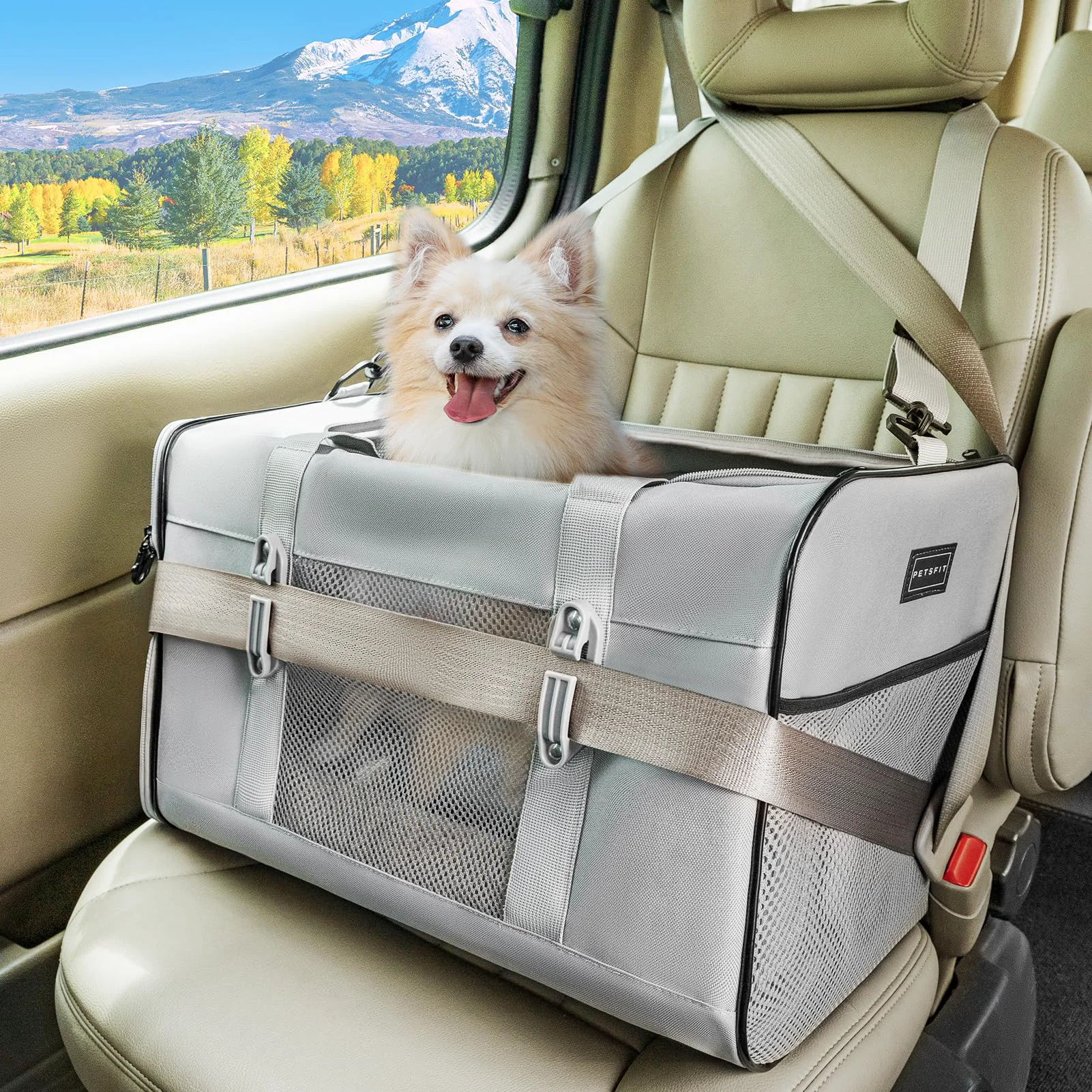 Smooth Petsfit Travel Pet Carrier for Large Cats up to 20 lbs – Soft Sided Car Carrier 19x12x12 Grey Professional