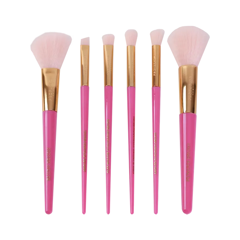 Premium Sweet Holiday 6-pc Face Eye Brush Vault Premium Material