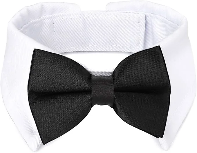Elite Segarty Dog Tuxedo Collar for Neck Girth 12.6-15.7in Bow Tie Collar Black Specialty