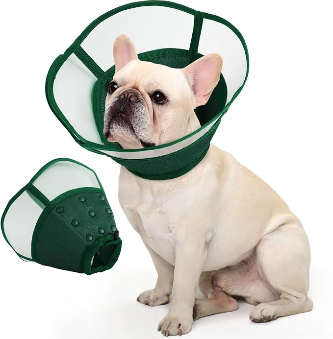 Smart Allroaring Dog Cone Soft Dog Cones Optimized