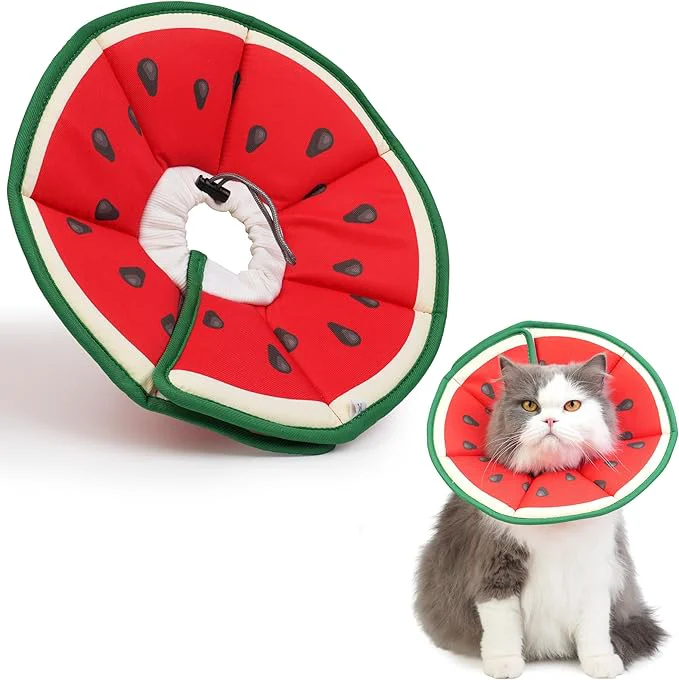 Fast Cat Cone Collar Soft Waterproof Cat Recovery Collar After Surgery Adjustable Premium Material