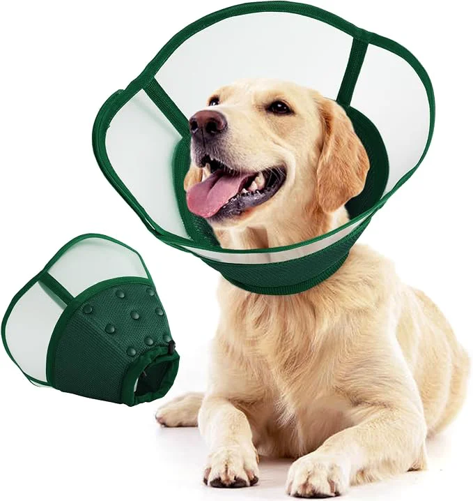 Exclusive Allroaring Dog Cone Collar After Surgery Soft Dog Cones Sustainable