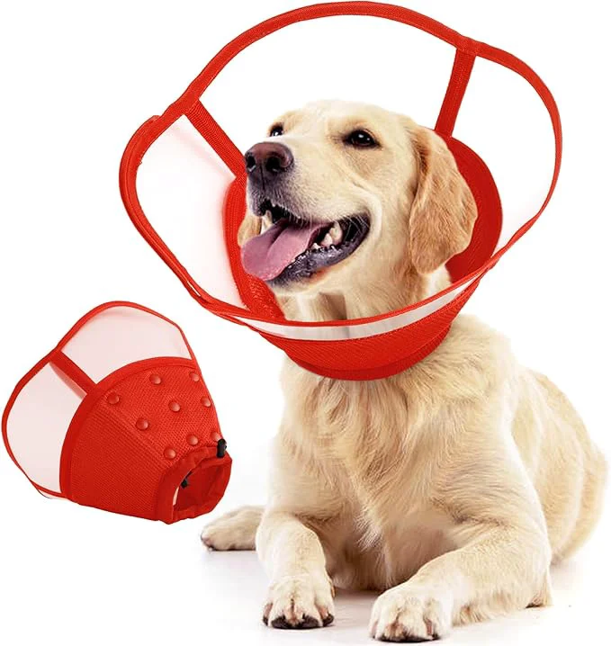 Healthy Allroaring Dog Cone Soft Dog Cones Environmentally Friendly
