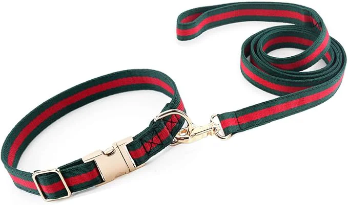 Consistent Premium Dog Collar Cute Dog Collars Luxury Style Durable Pet Collars and Dog Efficient