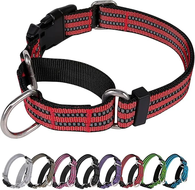 User-Friendly Martingale Dog Collar Adjustable Nylon Reflective Collar Expertly Made