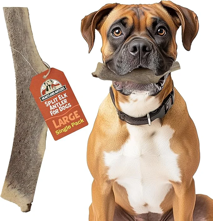 Proven Heartland Elk Antlers for Dogs - Daily Dental Care Chews for Aggressive Chewers to Reduce Plaque Prevent Destructive Behavior Splinter 7 Large 1-Pack Grade A USA Made About This Smooth