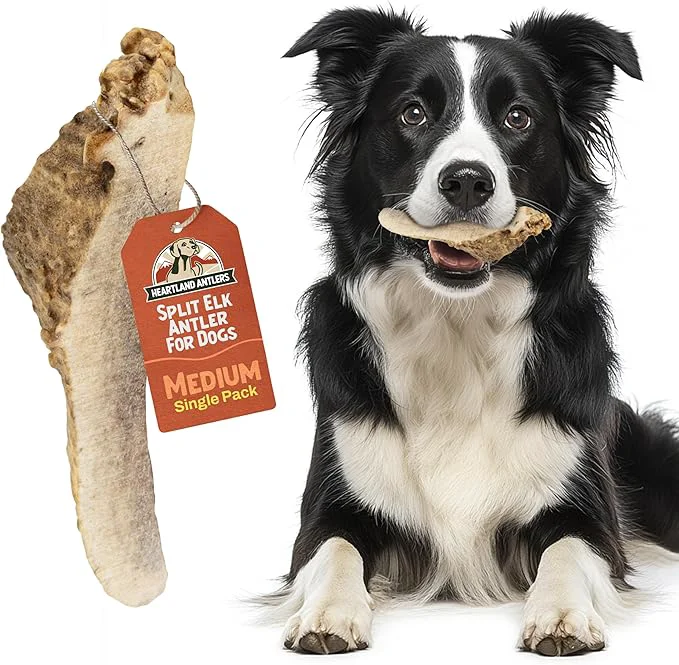 Trendy Heartland Elk Antlers for Dogs - Daily Dental Chews for Medium Aggressive Chewers to Promote Healthy Teeth Prevent Destructive Behavior Split Elk 5-6 1-Pack Grade A Odor- USA Made About This Stylish