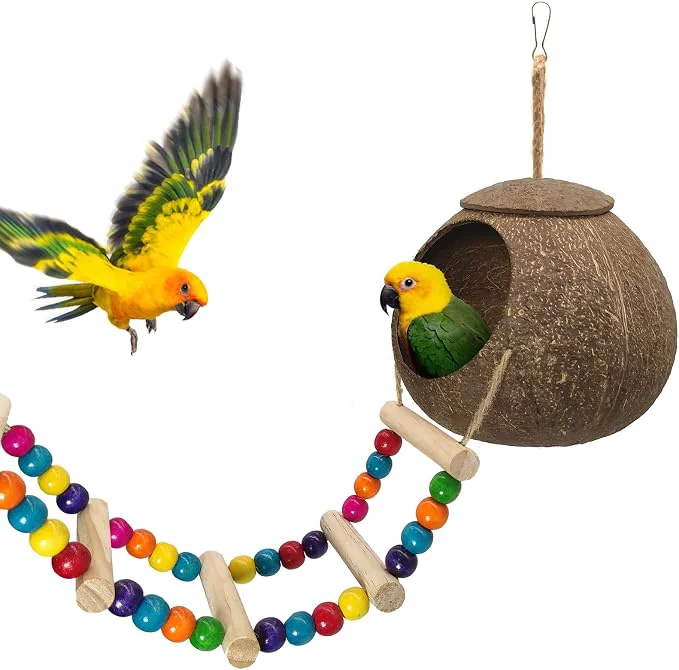 Outstanding Hanging Coconut Birds House Official