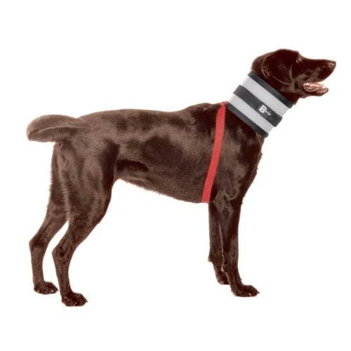 Smooth BiteNot Collar – 8 W x 32 L Vision-Friendly Recovery Collar for Pets Top-Quality