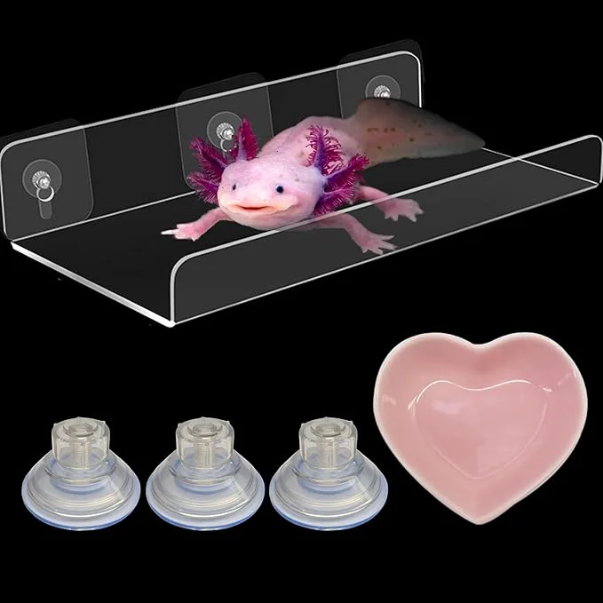 Excellent Axolotl Hammock Ledge for Aquarium Tank Accessories and Feeding Dish Axolotl Hammock with Ceramic Tray Feeder Bowl Axolotls Accessories for Tank Bearded Dragon Reptiles Supplies Pink 12x6 in About ThisOverview Flexible