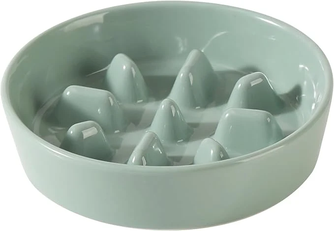 Proven Ceramic 1.2 Cup Dog Bowl Slow Feeder 7.3 inch Slow Pet Food Dish for Medium and Small Dog Stop Bloat Preventing Choking Single Bowl Light Green About ThisOverview High-Performance