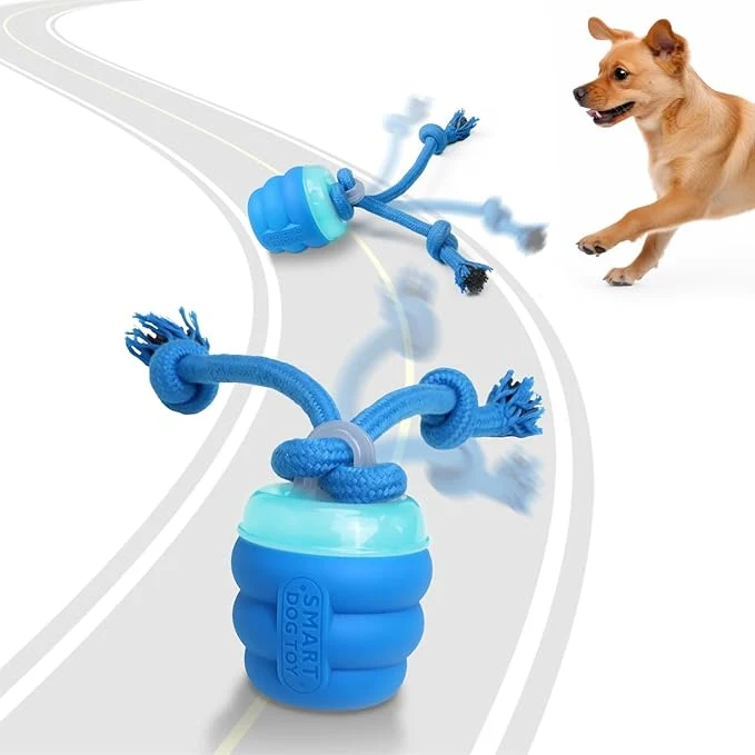 Dependable Interactive Dog Toys with Motion Activated Squeaky Dog Toy for Daily Training Keep Dogs BusyAbout This Carefully Designed